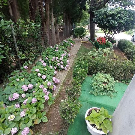Apartmani Gaga Bibinje Buitenkant foto