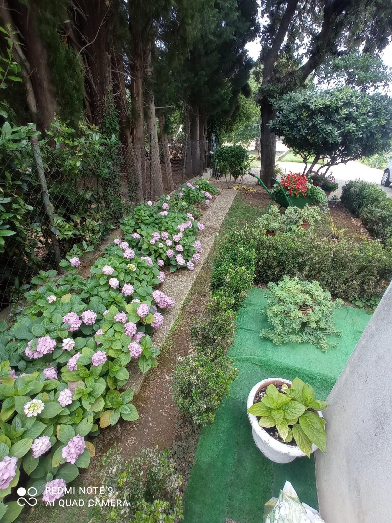 Apartmani Gaga Bibinje Buitenkant foto