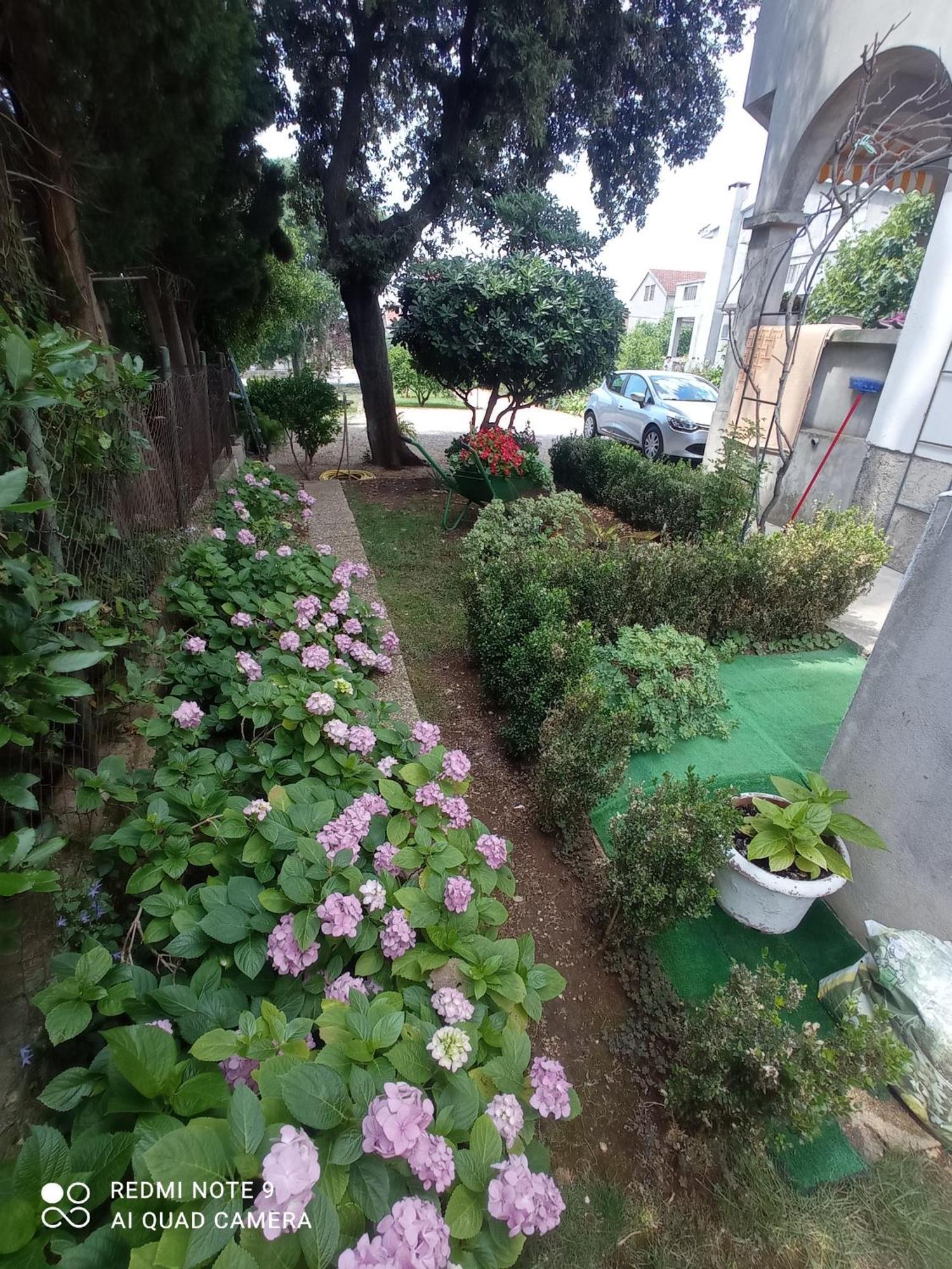 Apartmani Gaga Bibinje Buitenkant foto